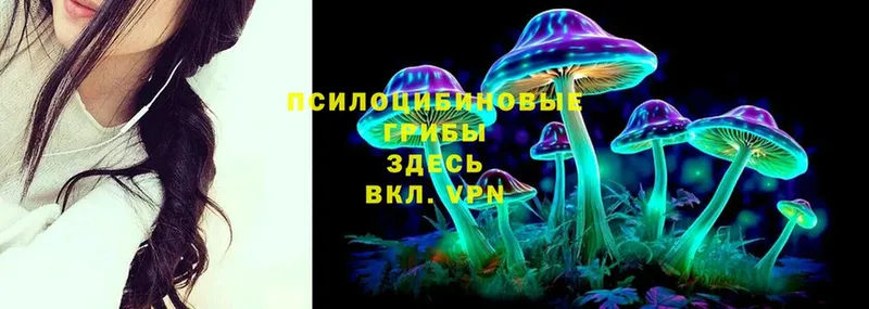 Псилоцибиновые грибы Psilocybe  Челябинск 